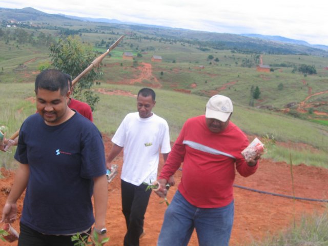 Picture 007.jpg, 251 KB