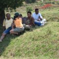 zao no mahatsara ny mamboly hazo fa jereo ange izahay fa afaka nialokaloka tsara e
raha tsy teo izao io dia asa fotsiny ny nahazo fa nodanian'ingahibe masoandro teo fotsiny